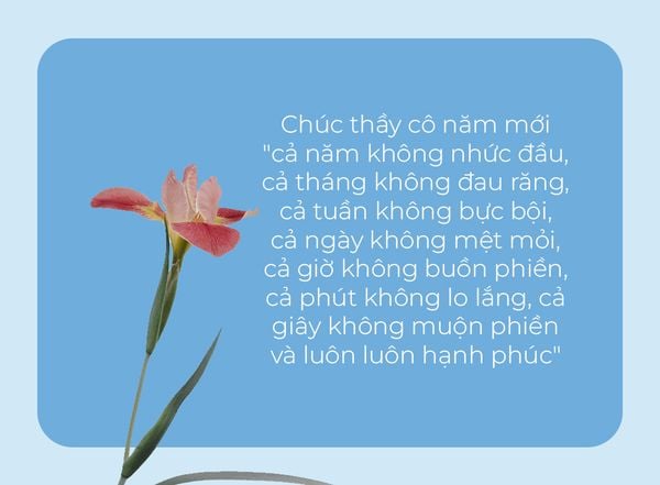 Tri ân thầy cô giáo bằng những lời chúc Tết hài hước, độc đáo