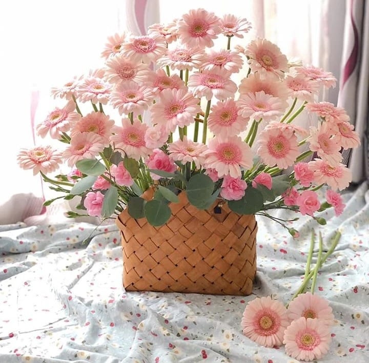 Mẫu bình hoa đồng tiền nghệ thuật