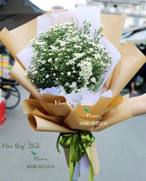 Bó Hoa Thạch Thảo Trắng