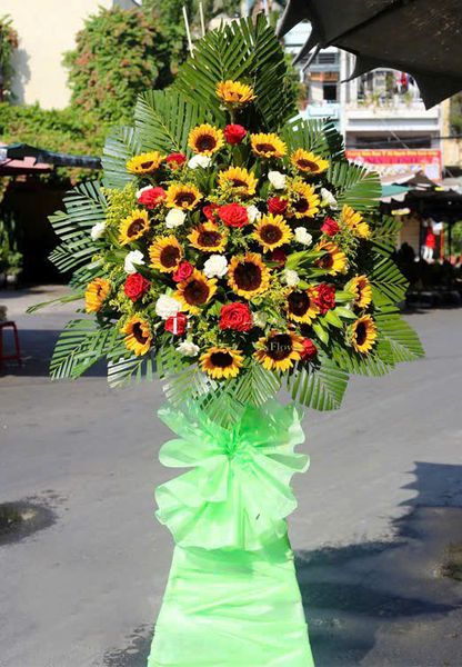 Hoa Hướng Dương: Kệ Hoa Tương Lai Tươi Sáng - HCM23