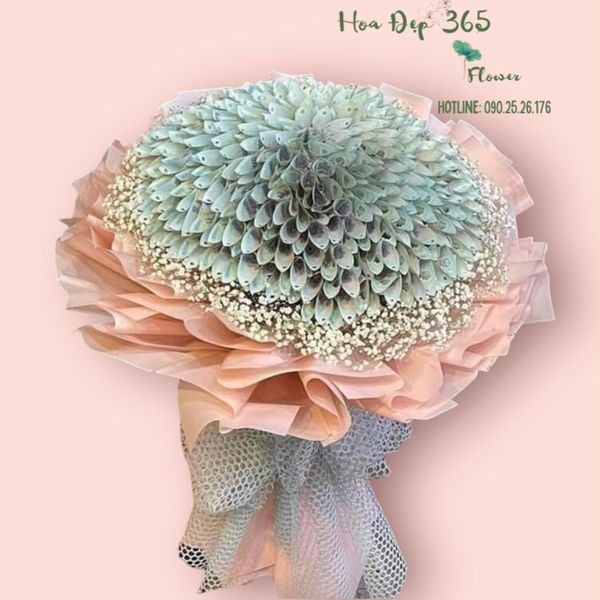 Hoa tiền - món quà cho mẹ ý nghĩa nhân dịp Mother's Day.