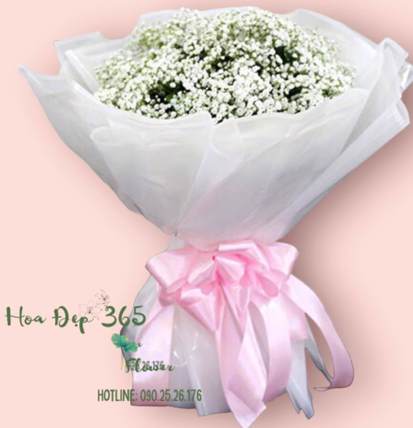 bó hoa baby trắng cực đẹp