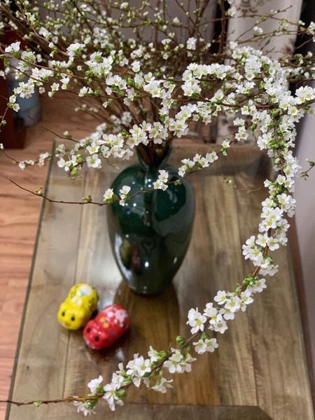 bình thủy tinh cắm hoa tuyết mai