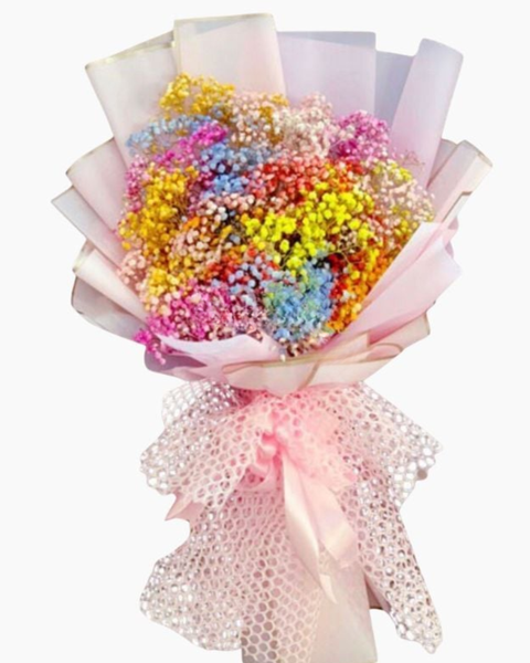 Hoa Bó Dài: Cầu Vòng - HBD102