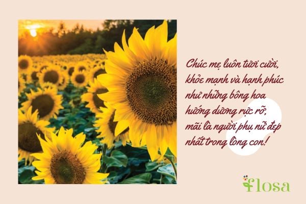 Chúc mẹ luôn tươi cười, khỏe mạnh và hạnh phúc như những bông hoa hướng dương rực rỡ, mãi là người phụ nữ đẹp nhất trong lòng con!