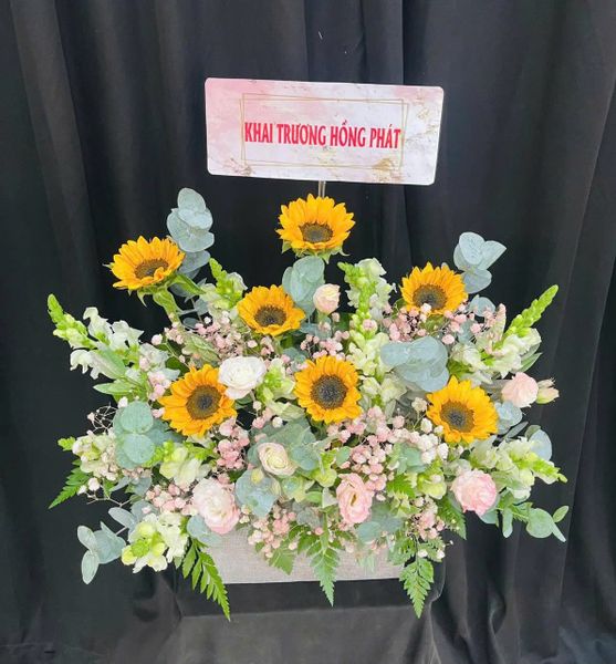Hộp Hoa Tươi: Hộp Hoa Sunflower Harmony - HH70