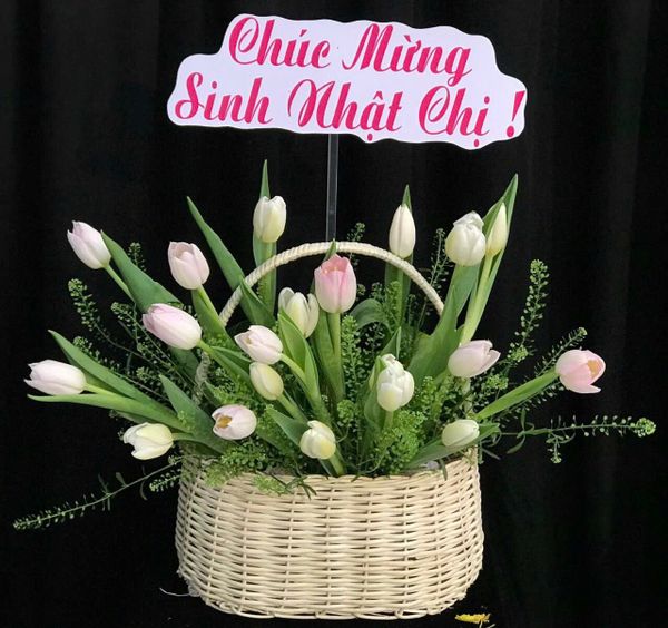  Giỏ Hoa Tươi Tulip Mix Màu - HG63 