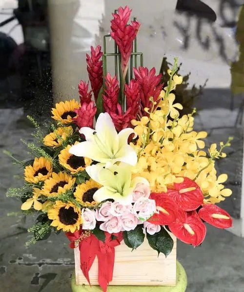 Hoa Lan: Hộp Hoa Thời Gian - HCH30