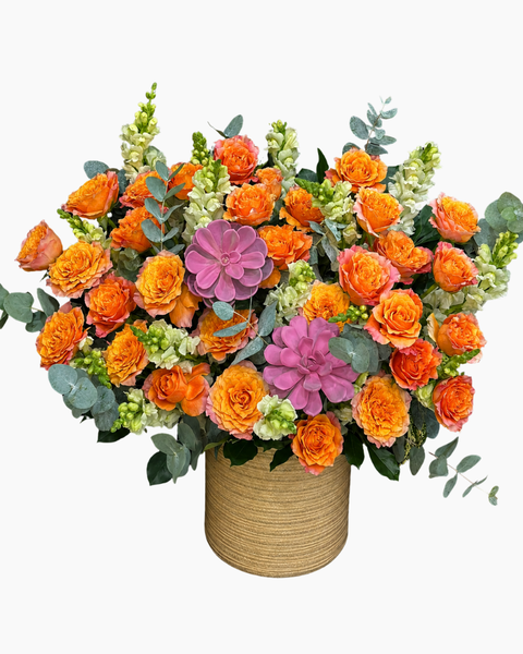  Hoa Hộp Sắc Son Thịnh Vượng - HH221 