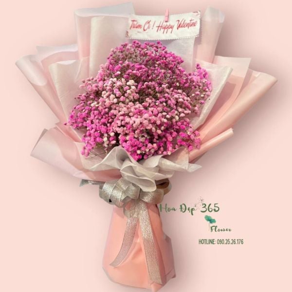 Baby - loài hoa đẹp tặng 8/3 cho người thân