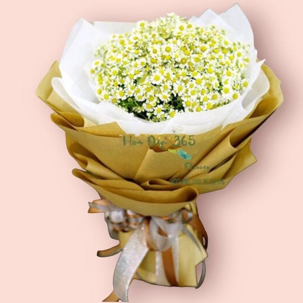 Bó hoa cúc tana với vẻ đẹp trong sáng