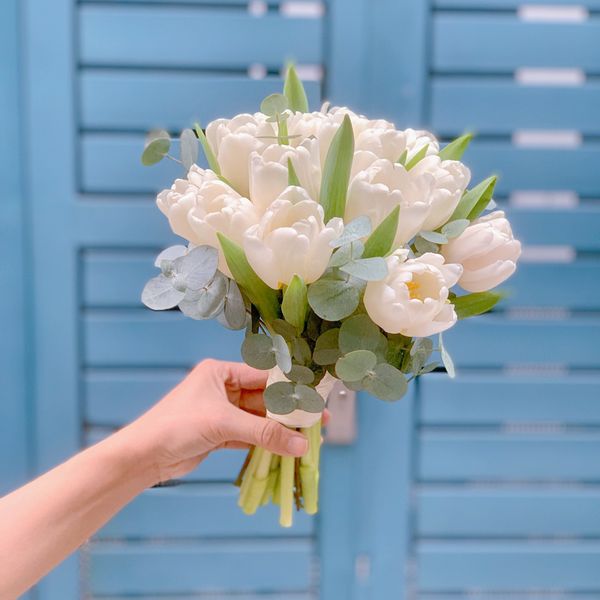 Hoa tulip trắng