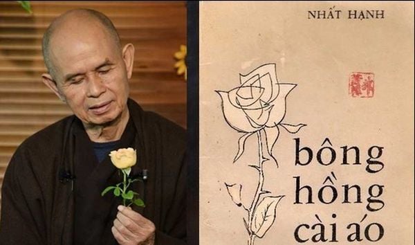 bông hồng cài áo thầy thích nhất hạnh