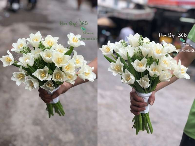 Bó Hoa Cưới Cầm Tay Tulip Trắng - HC29