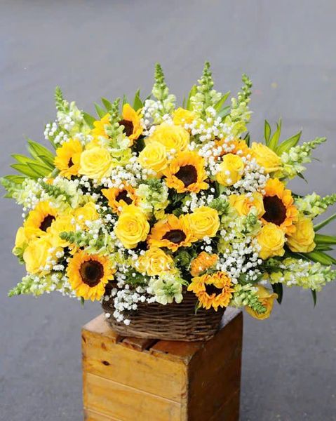 Hoa Hướng Dương: Giỏ Hoa Khai Trương Ngày Hạ - HG39