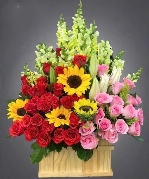 Hộp Hoa Để Bàn Khai Trương Sunny - HCH73 với hoa mõm sói