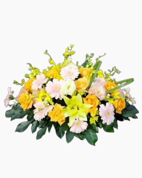 Hoa Để Bàn: Hoa Để Bàn - Ovan 10
