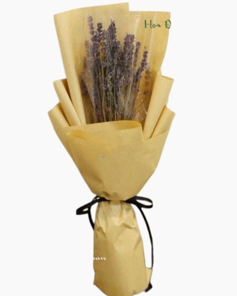 Hoa Lavender