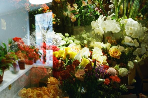 Mua hoa khai trương giá tốt, chất lượng tại Flosa