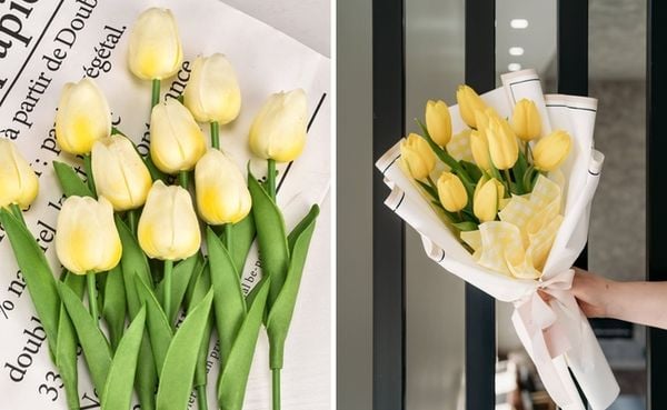 Hoa tulip đẹp tinh tế phù hợp để tặng mẹ