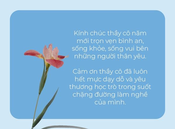 Lời chúc, lời tri ân ý nghĩa gửi đến thầy cô đã về hưu vào dịp Tết đến xuân về