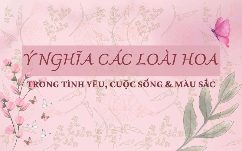 Ý nghĩa các loài hoa phổ biến trong tình yêu, cuộc sống và màu sắc