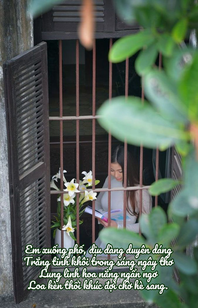 hoa loa kèn