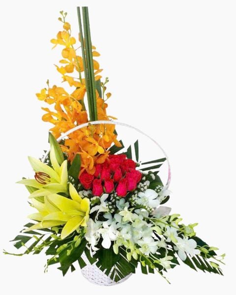Hoa Lan: Giỏ Hoa Vững Mạnh - HG17