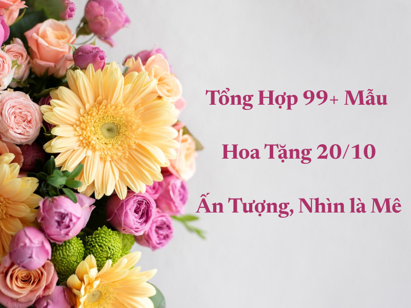 99+ Mẫu Hoa Tặng 20/10 Ấn Tượng, Ai Nhìn Cũng Thích Mê