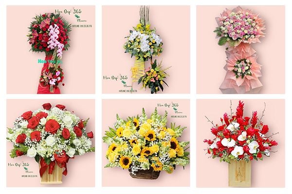 Đặt Hoa Khai Trương: Gợi Ý Mẫu Hoa Đẹp, Giá Tốt, Giao Nhanh Tại Flosa