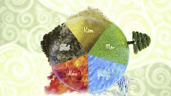 Có nên trồng hoa tường vi trước nhà?