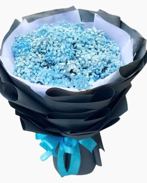 Hoa Bó Tròn: Bó Hoa Blue Baby - HBT69