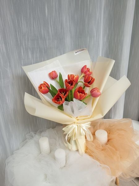 Hoa Tulip