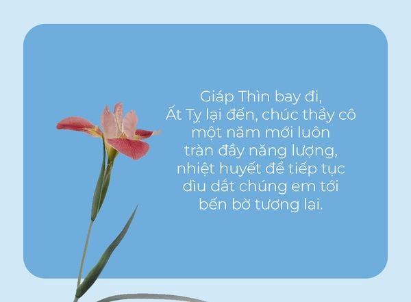 Chúc Tết thầy cô giáo tạo ấn tượng sâu sắc trong dịp Tết nguyên đán