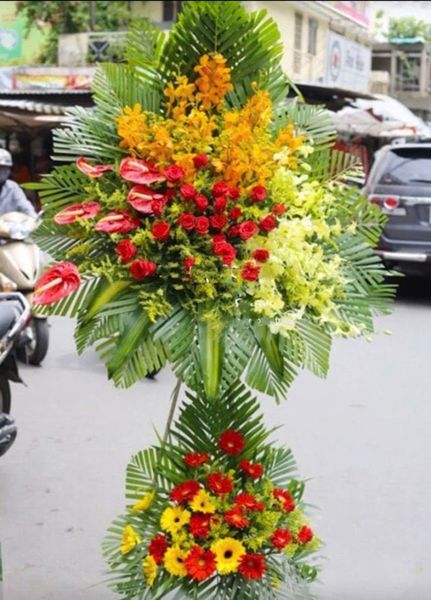 Hoa Khai Giảng: Kệ Hoa Phú Quý - HCM39