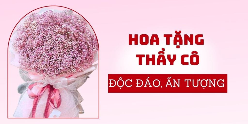 10+ Loài hoa tặng cô giáo 20/11 ý nghĩa, hình ảnh bó hoa đẹp nhất 2026