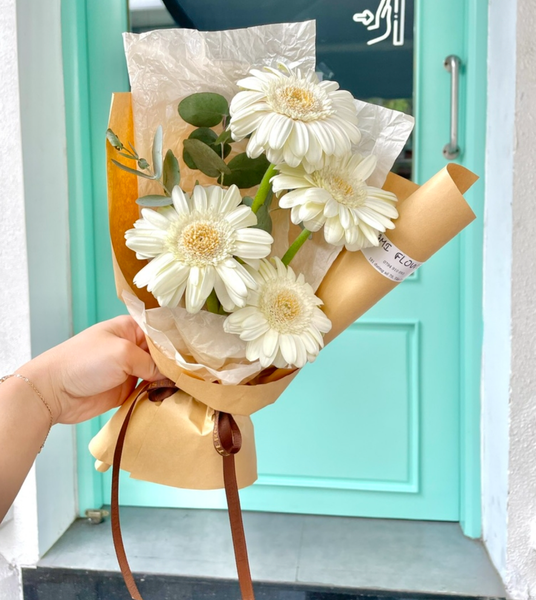 Hoa đồng tiền