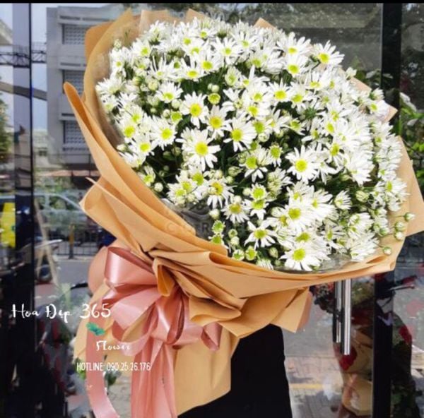 Bó Hoa Cúc Hoạ Mi Siêu To - HBT63 - Hoa Tươi