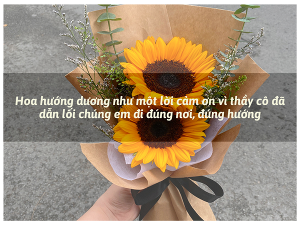 Hoa Hướng Dương Tặng Thầy Cô 20/10
