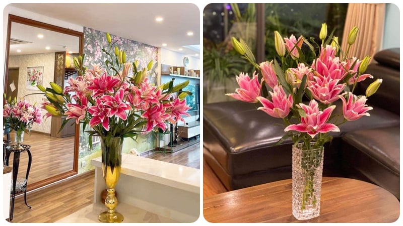 Những ưu điểm vượt trội của hoa ly kép: không phấn, bền lâu, hương thơm dịu nhẹ
