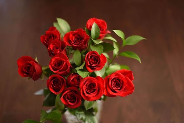 Hoa hồng đỏ phù hợp để chung bàn thờ ngày Tết