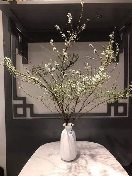 bình sử cắm hoa tuyết mai