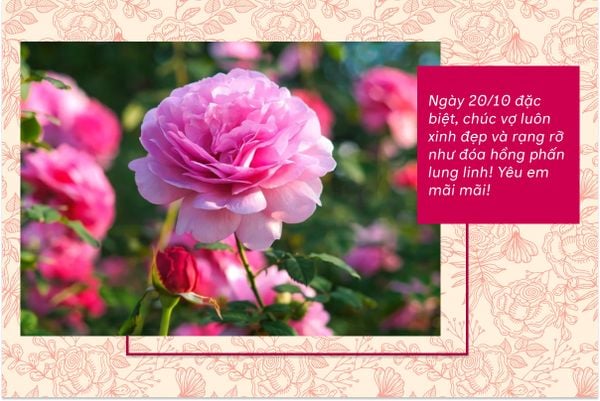 Ngày 20/10 đặc biệt, chúc vợ luôn xinh đẹp và rạng rỡ như đóa hồng phấn lung linh! Yêu em mãi mãi!