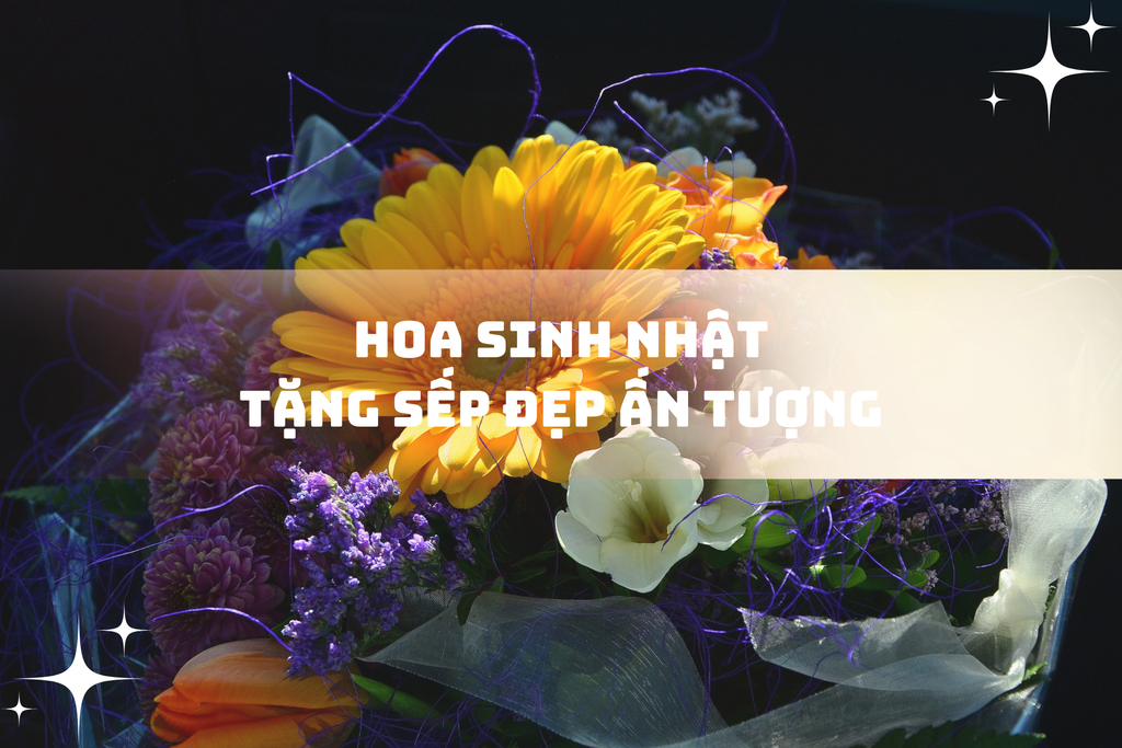 100+ Hoa sinh nhật sếp sang trọng ý nghĩa, mẫu hoa đẹp nhất 2026