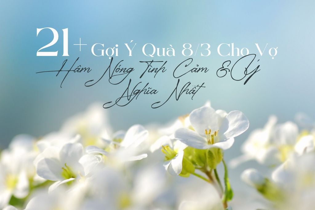 21+ Gợi Ý Quà 8/3 Cho Vợ Hâm Nóng Tình Cảm & Ý Nghĩa Nhất 2026