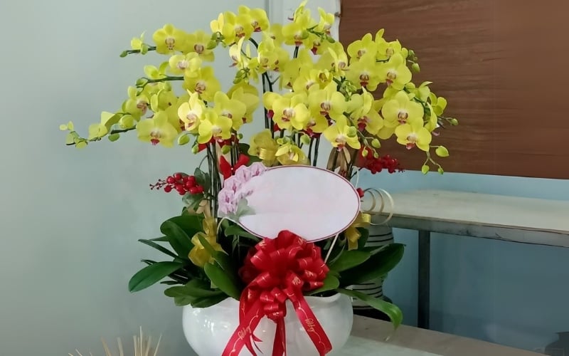Chậu hoa lan hồ điệp vàng thích hợp tặng sinh nhật bố