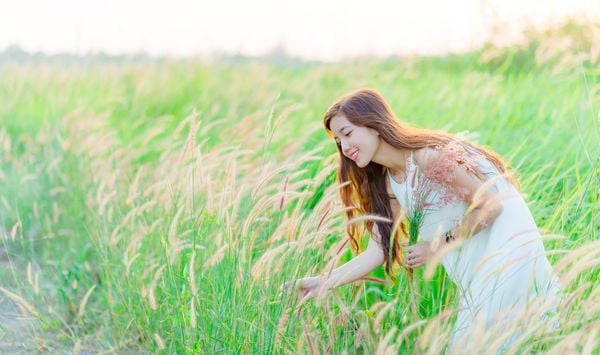 hoa cỏ may