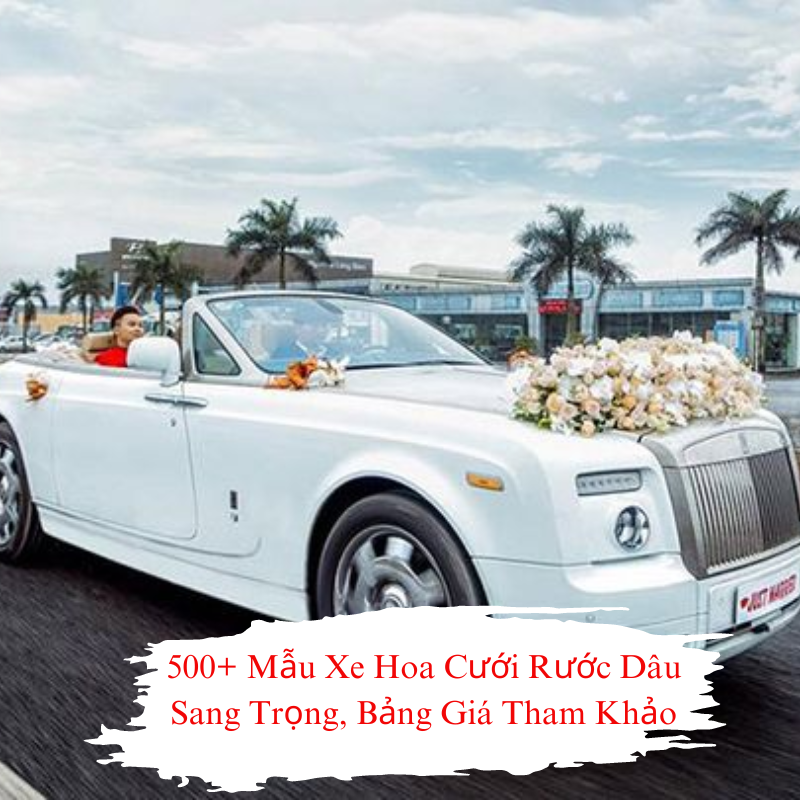Top 500+ Mẫu Xe Hoa Cưới Rước Dâu Sang Trọng, Bảng Giá Tham Khảo