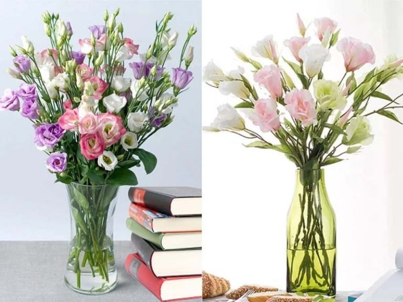 Hoa cát tường mang lời chúc vạn sự như ý và hạnh phúc