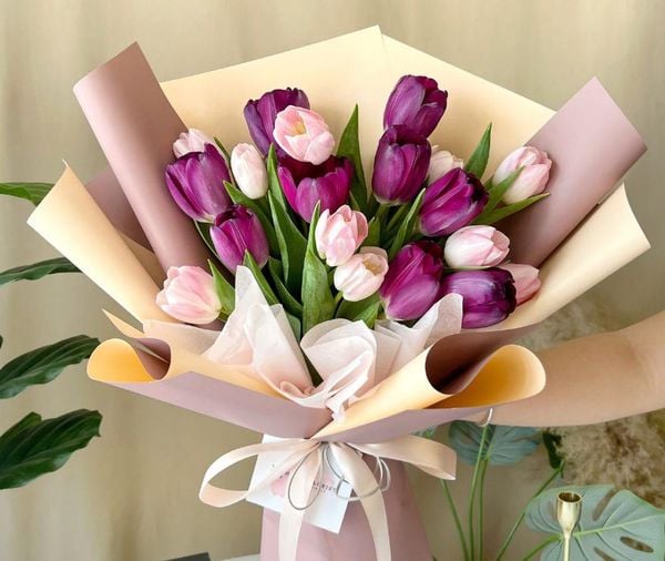 Hoa Tulip Tím